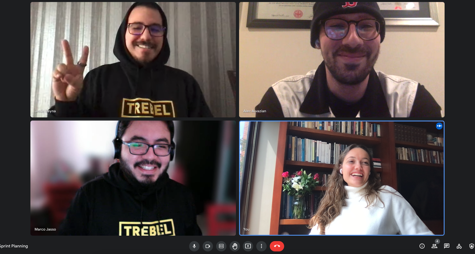 A picture of the TREBEL team working remotely